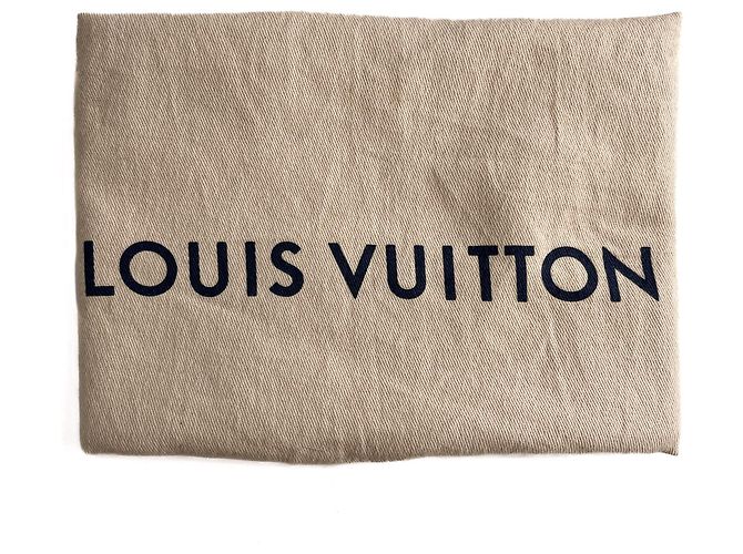 Louis Vuitton Coussin PM Pelle Empreinte Messenger Crossbody Off-White Bianco sporco - vista 18