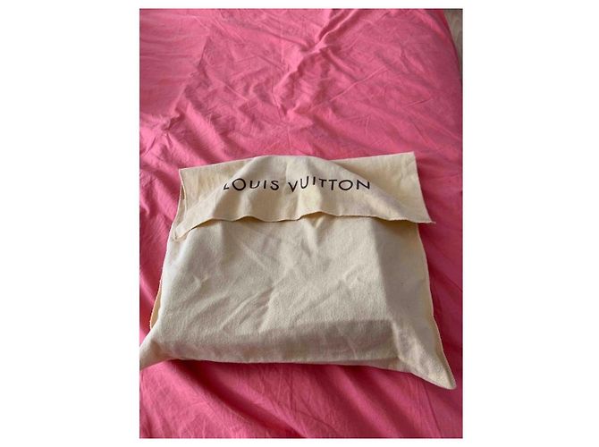 Sac à main Louis Vuitton Catalina PM Cuir Vernis Fuchsia Fuschia - vue 11