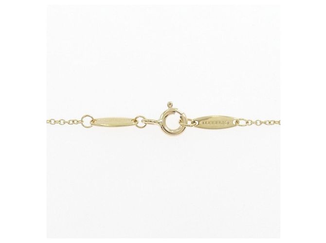 Tiffany & Co Collana Tiffany By the Yard D'oro - vista 5