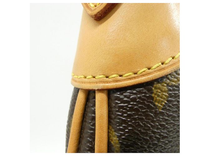 Borsa a Spalla Louis Vuitton Monogram Odeon MM Marrone - vista 6
