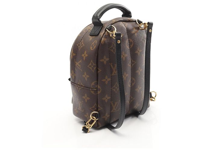 Zaino Mini Palm Springs di Louis Vuitton Marrone Nero - vista 2