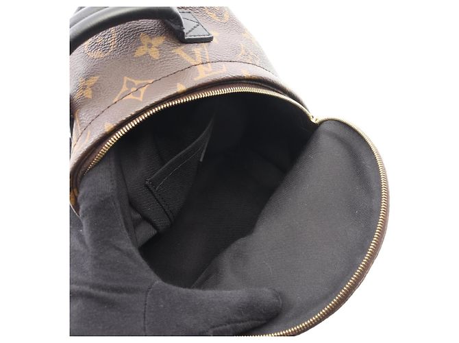 Zaino Mini Palm Springs di Louis Vuitton Marrone Nero - vista 3
