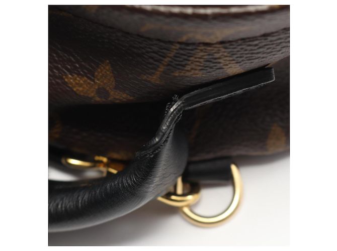 Zaino Mini Palm Springs di Louis Vuitton Marrone Nero - vista 5