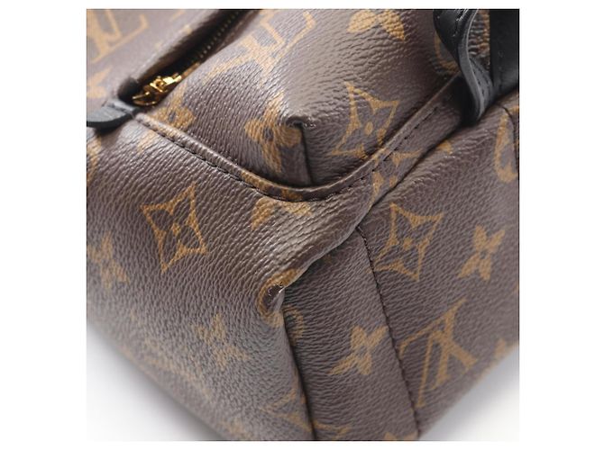 Zaino Mini Palm Springs di Louis Vuitton Marrone Nero - vista 6