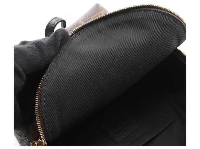 Zaino Mini Palm Springs di Louis Vuitton Marrone Nero - vista 7
