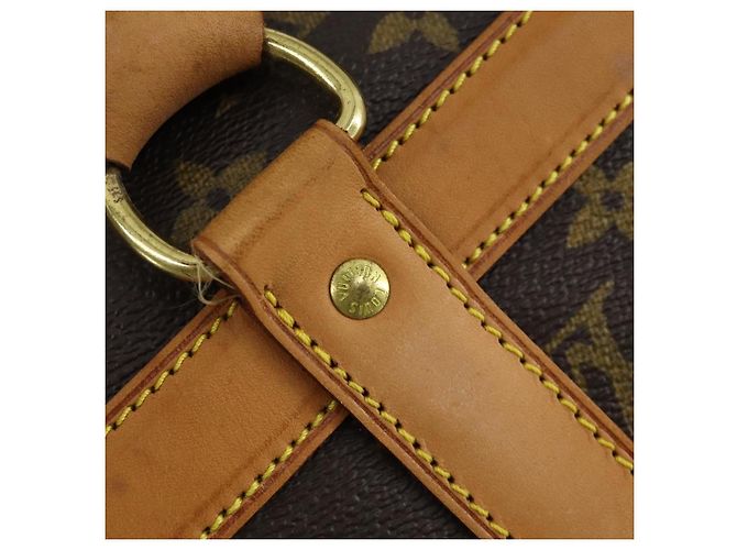 LOUIS VUITTON Sac Shan 40 Monogram pour animaux M42024 LV Auth ep12896 Monogramme - vue 14