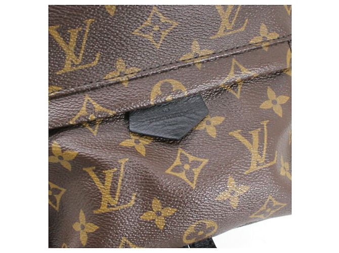 Louis Vuitton Monogram Palm Springs Rucksack PM - Ansicht 10