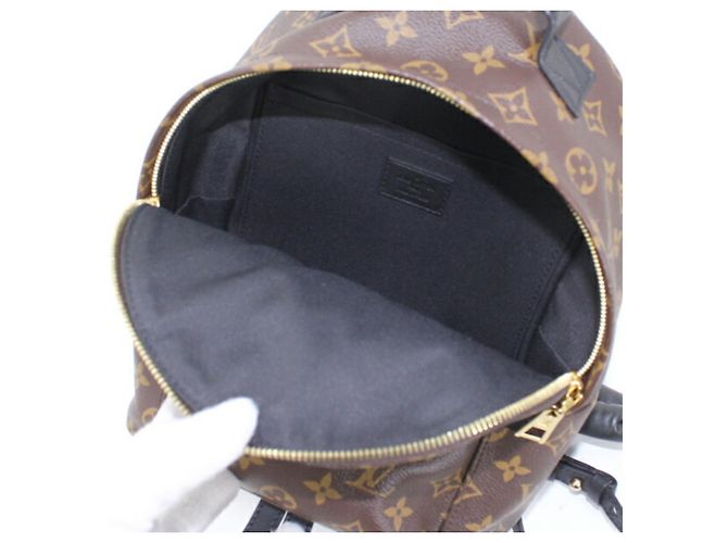 Louis Vuitton Monogram Palm Springs Rucksack PM - Ansicht 11