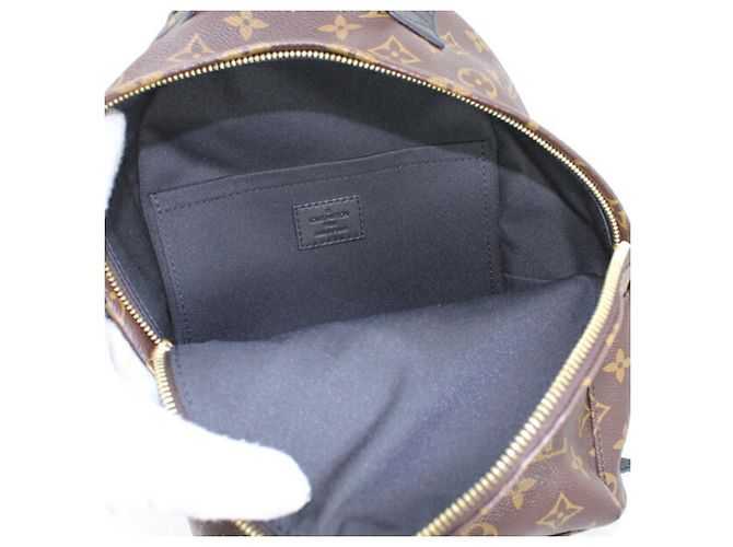 Louis Vuitton Monogram Palm Springs Rucksack PM - Ansicht 12