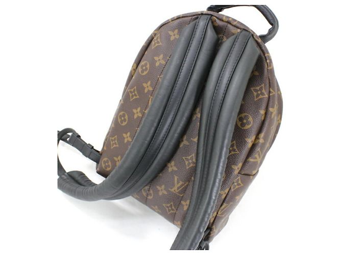 Louis Vuitton Monogram Palm Springs Rucksack PM - Ansicht 3