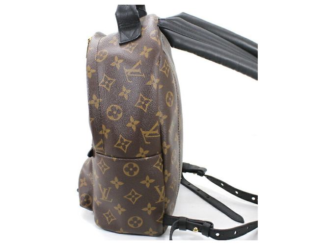 Louis Vuitton Monogram Palm Springs Rucksack PM - Ansicht 4