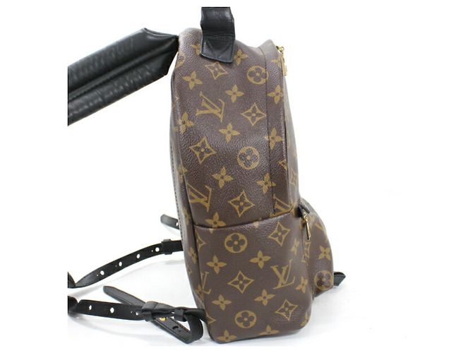Louis Vuitton Monogram Palm Springs Rucksack PM - Ansicht 5