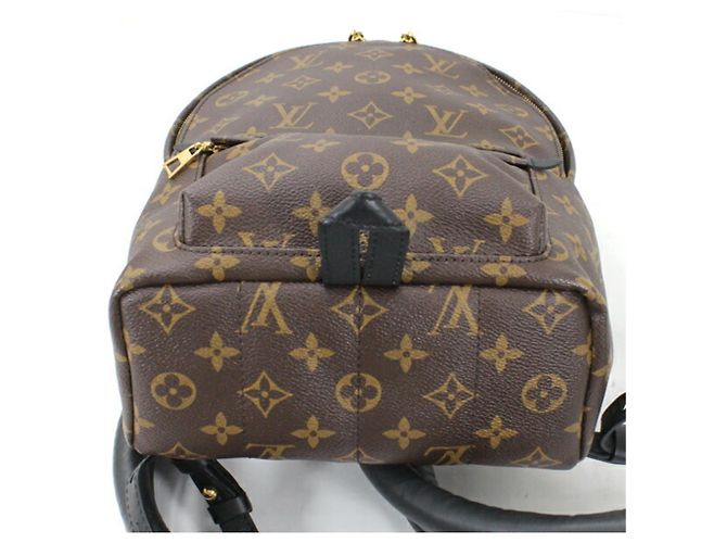 Louis Vuitton Monogram Palm Springs Rucksack PM - Ansicht 6