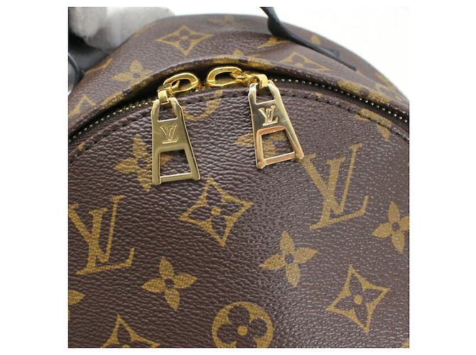 Louis Vuitton Monogram Palm Springs Rucksack PM - Ansicht 9