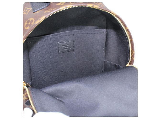 Louis Vuitton Palm Springs Rucksack PM Monogram Reverse - Ansicht 11