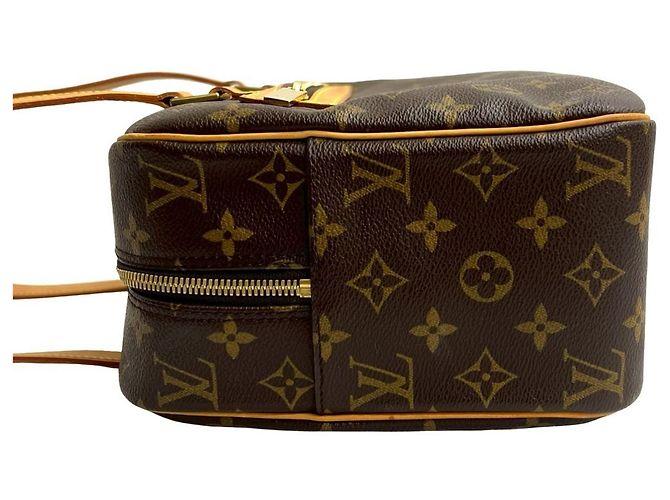 Louis Vuitton Cite GM Monogram Leder Tote Bag Braun - Ansicht 5