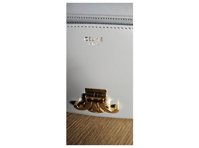 Céline Borsa a Spalla in Pelle Celine Triomphe Grigia Grigio - vista 10
