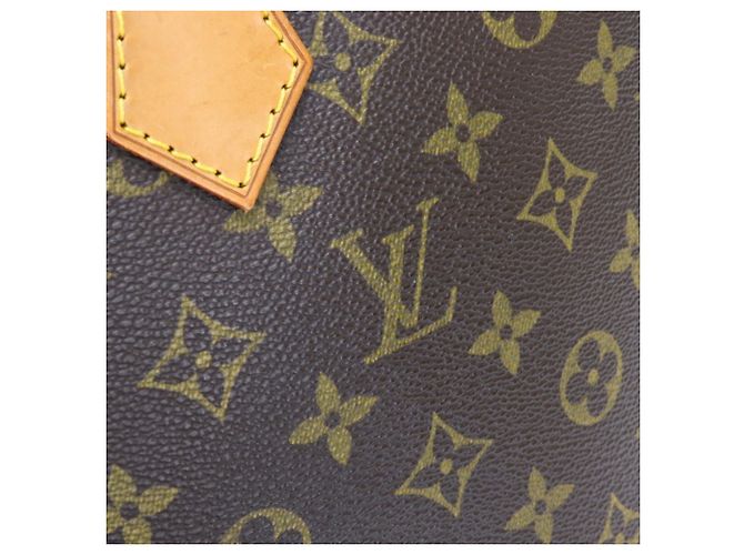 Borsa Alma Louis Vuitton Marrone Monogramma - vista 13
