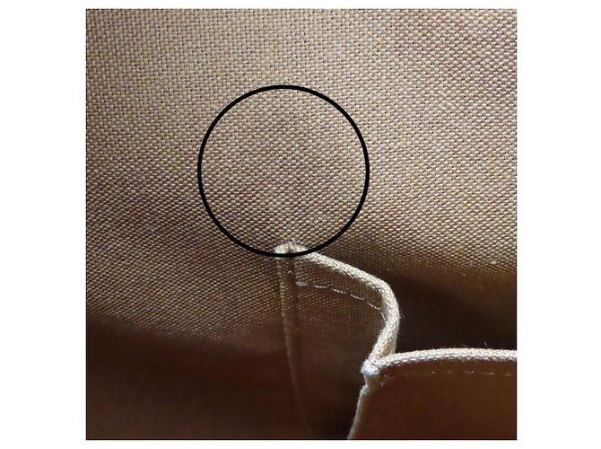 Borsa Alma Louis Vuitton Marrone Monogramma - vista 26