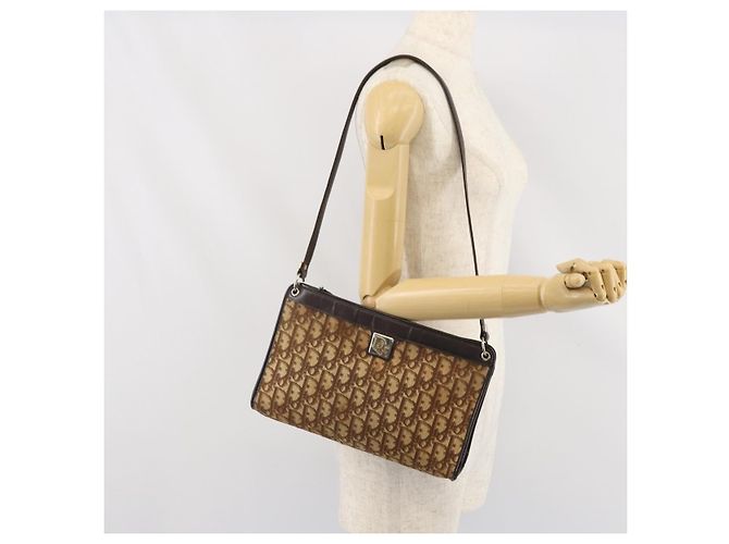 Borsa a Spalla in Tela Trotter Christian Dior Beige Oro Auth 169555 - vista 20