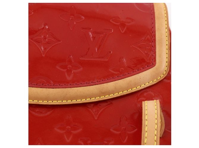 Louis Vuitton Biscayne Bay PM Tote Bag Rot - Ansicht 12