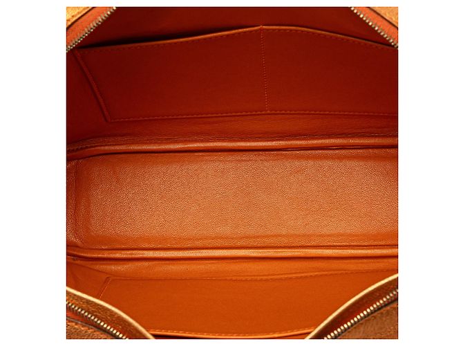 Hermès Plume Elan 28 in Capra Coromandel Metallico Arancione - vista 5