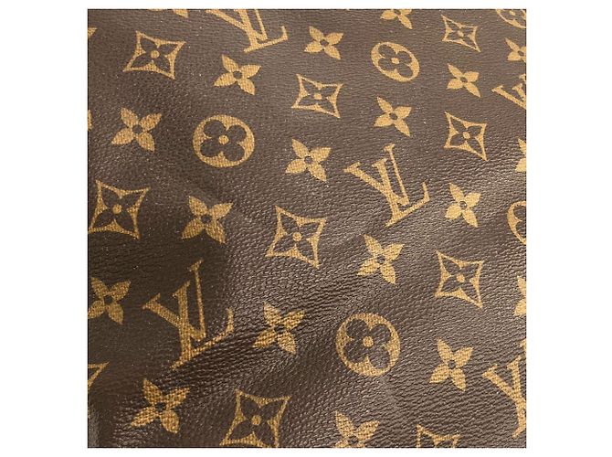 Borsa a mano Cabas Maison Monogram Louis Vuitton Marrone - vista 3