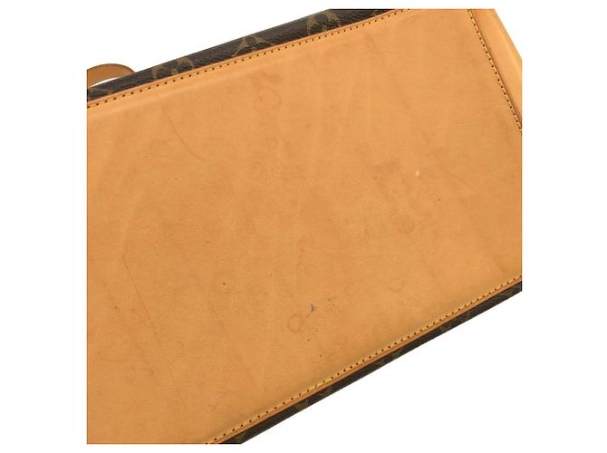 Borsa a mano Cabas Maison Monogram Louis Vuitton Marrone - vista 5