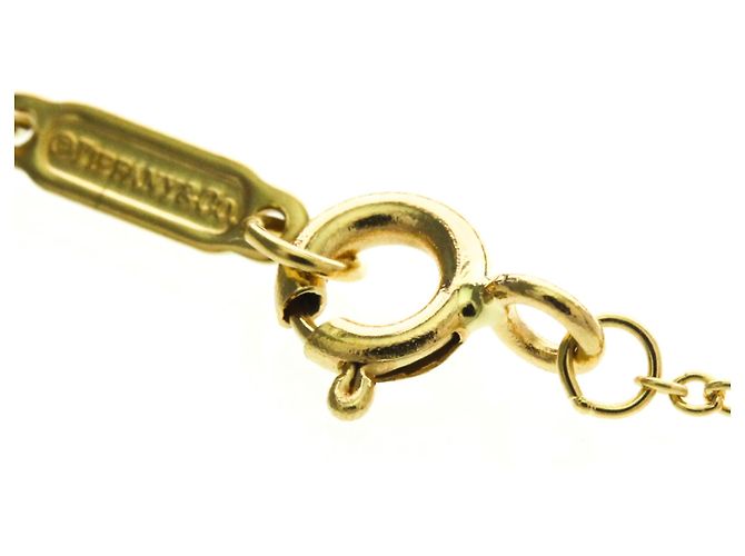 Tiffany & Co Collana Busta in Oro 18K Tiffany D'oro - vista 12