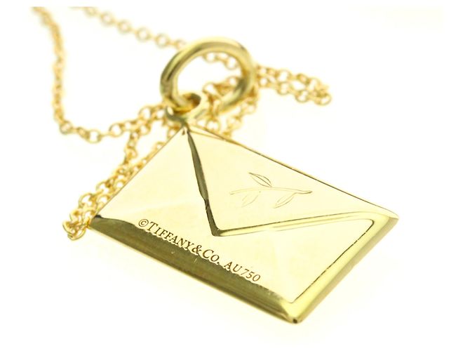 Tiffany & Co Collana Busta in Oro 18K Tiffany D'oro - vista 8