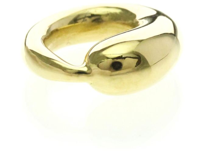 Tiffany & Co Collana con pendente Tiffany Eternal Circle Top D'oro - vista 2
