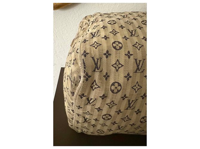 Borsa Speedy Louis Vuitton Monogramma Strisce Beige - vista 14