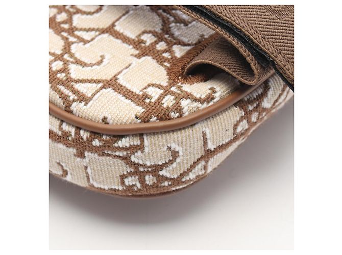Christian Dior Borsa Saddle DIOR x TRAVIS SCOTT CACTUS JACK Marrone Beige - vista 5
