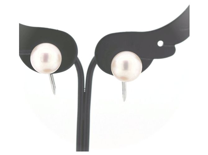 Pendientes Tasaki de perlas K14WG Blanco - vista 6