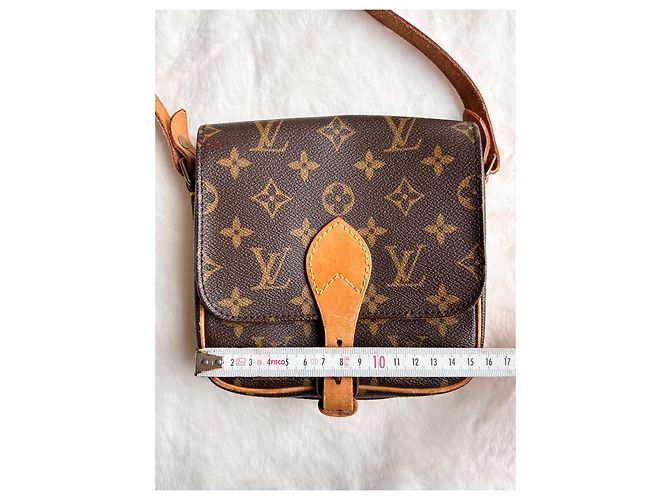 Cartouchiere Louis Vuitton Cartouchière PM Monogram Marrone D'oro - vista 18