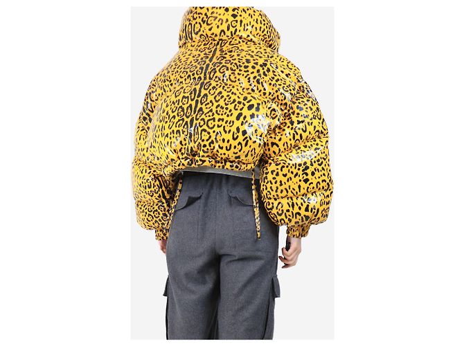 Dolce & Gabbana Gelbe Leopardenmuster cropped Pufferjacke - Größe S - Ansicht 2