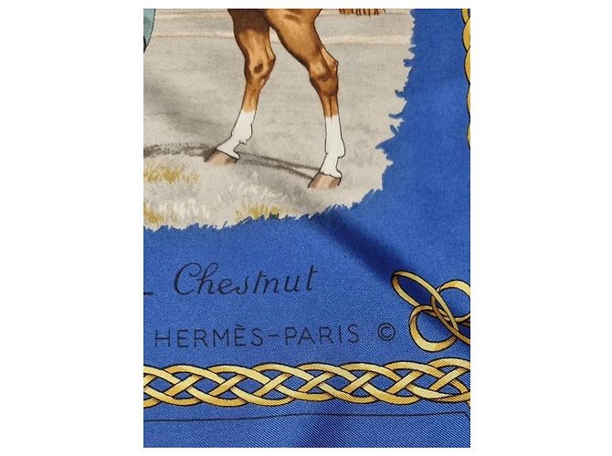 Foulard Hermès in seta Les robes blu - vista 4