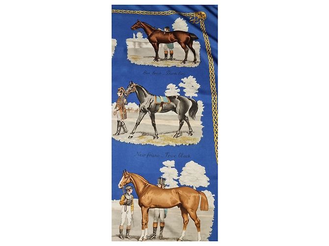 Foulard Hermès in seta Les robes blu - vista 6