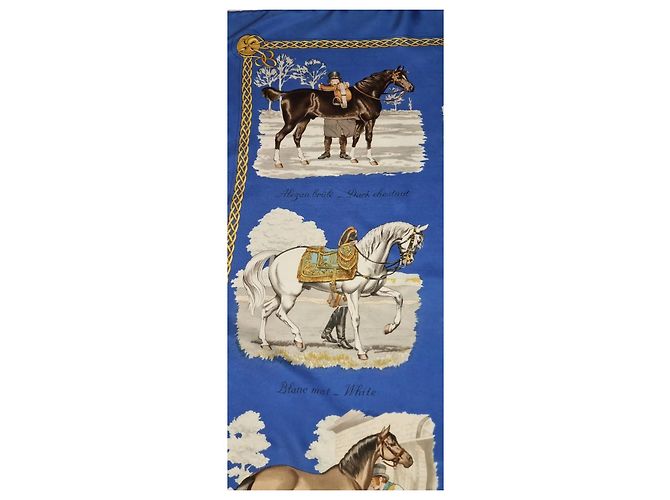 Foulard Hermès in seta Les robes blu - vista 7