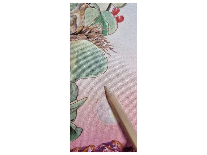 Foulard in seta "Fauna e Flora del Texas" di Hermès Marrone Rosa Blu Beige Verde - vista 16