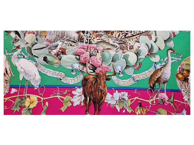Foulard in seta "Fauna e Flora del Texas" di Hermès Marrone Rosa Blu Beige Verde - vista 3