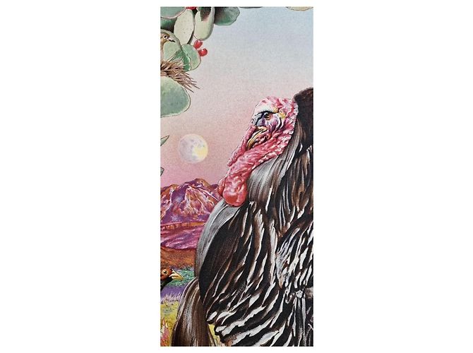 Foulard in seta "Fauna e Flora del Texas" di Hermès Marrone Rosa Blu Beige Verde - vista 8