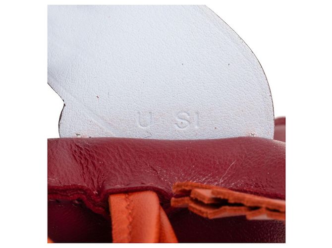 Charm Rodeo Pegasus MM di Hermès Rosso - vista 4