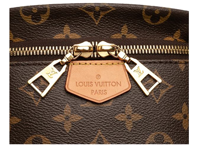Bumbag Monogram Marrone Louis Vuitton - vista 8