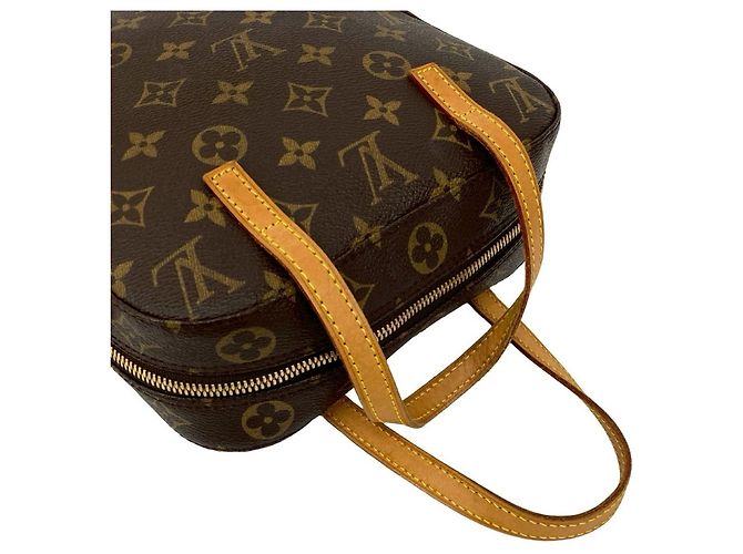 Borsa in pelle Monogram Spontini di Louis Vuitton Marrone - vista 4