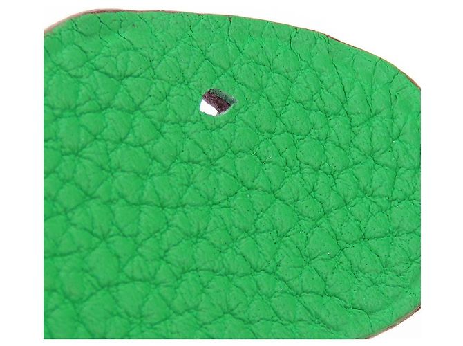 Charm per borsa Hermès Petite Ash Turtle GM in pelle Epsom Taurillon Clemence Blu Verde Porpora - vista 6
