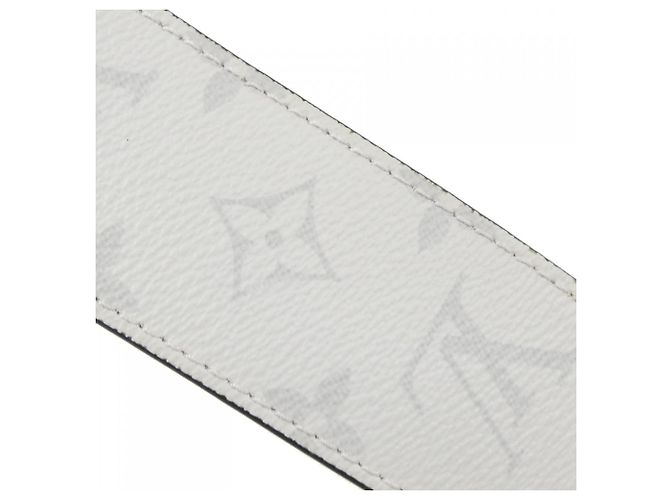 Borsa a tracolla Louis Vuitton Taiga Llama con pattina Bianco - vista 5