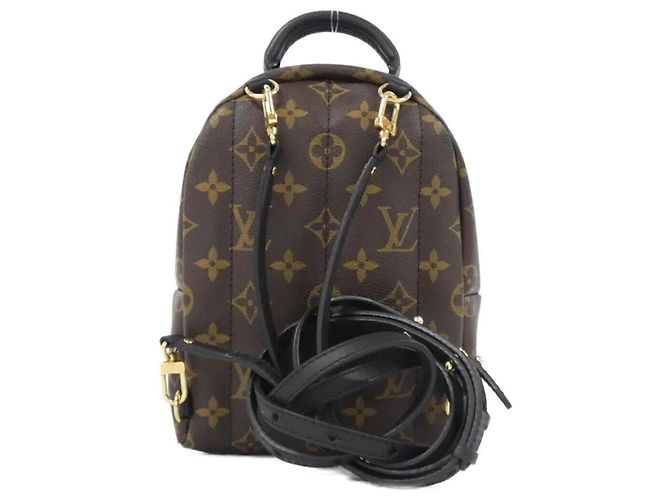 Zaino Mini Palm Springs Monogram World Tour Louis Vuitton Marrone Monogramma - vista 2