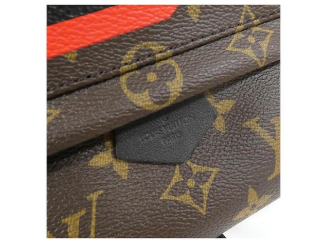 Zaino Mini Palm Springs Monogram World Tour Louis Vuitton Marrone Monogramma - vista 4