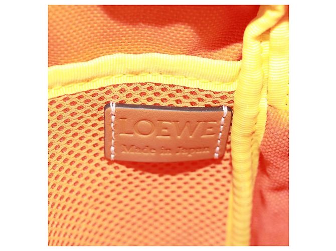 Borsa a Spalla LOEWE in Tela Viola Argento Autentica 170688M Porpora - vista 21